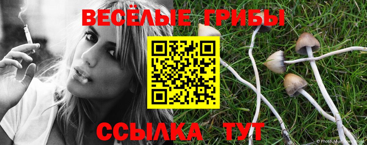 Сухой Лог  Галлюциногенные грибы Cubensis  Вход с VPN  Галлюциногенные грибы мицелий 